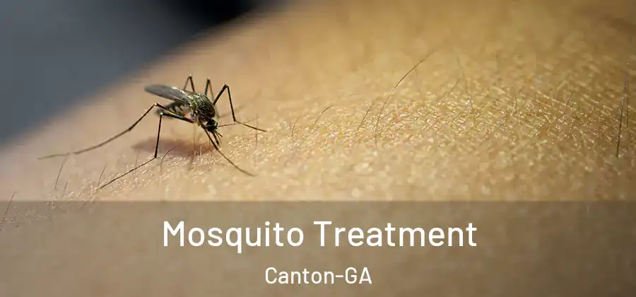 Mosquito Treatment Canton-GA