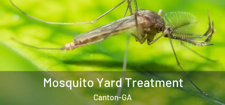 Mosquito Yard Treatment Canton-GA