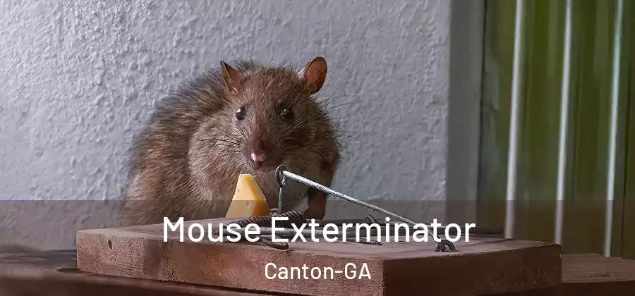  Mouse Exterminator Canton-GA