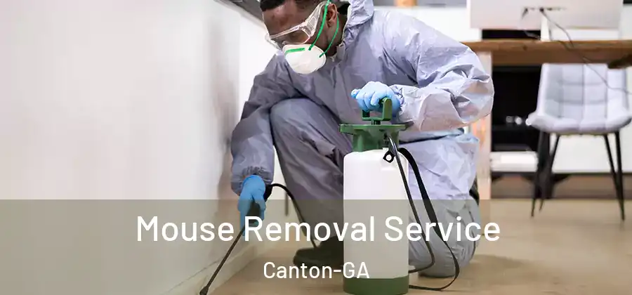  Mouse Removal Service Canton-GA