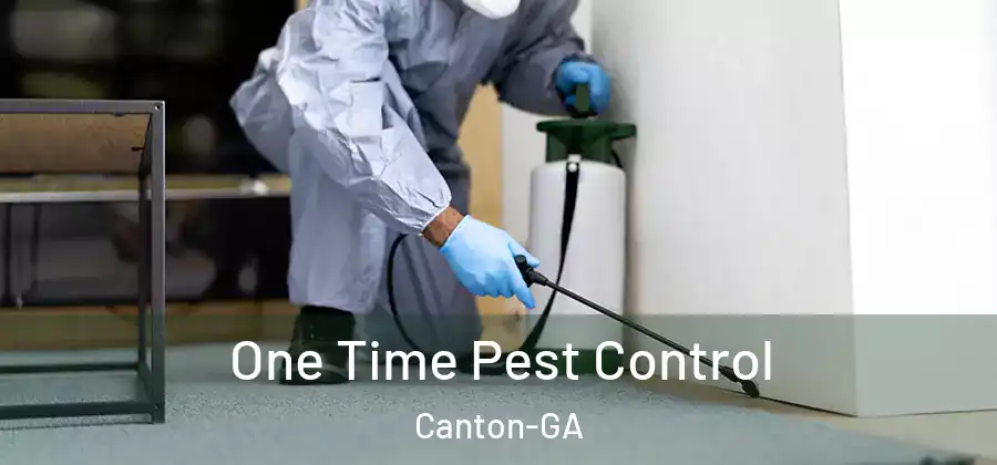  One Time Pest Control Canton-GA