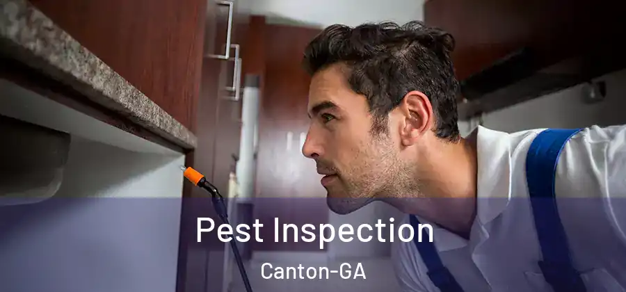  Pest Inspection Canton-GA