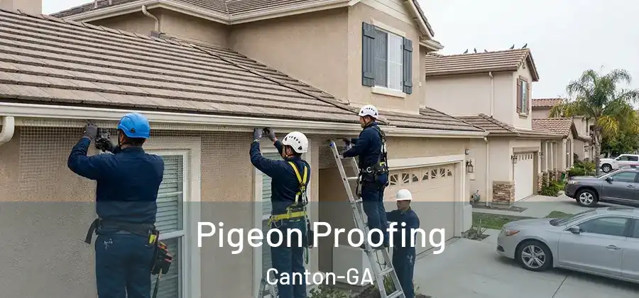 Pigeon Proofing Canton-GA