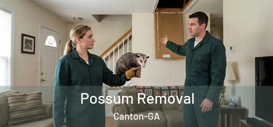Possum Removal Canton-GA