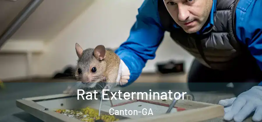 Rat Exterminator Canton-GA