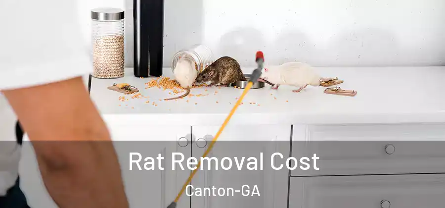  Rat Removal Cost Canton-GA