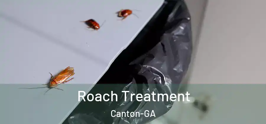  Roach Treatment Canton-GA
