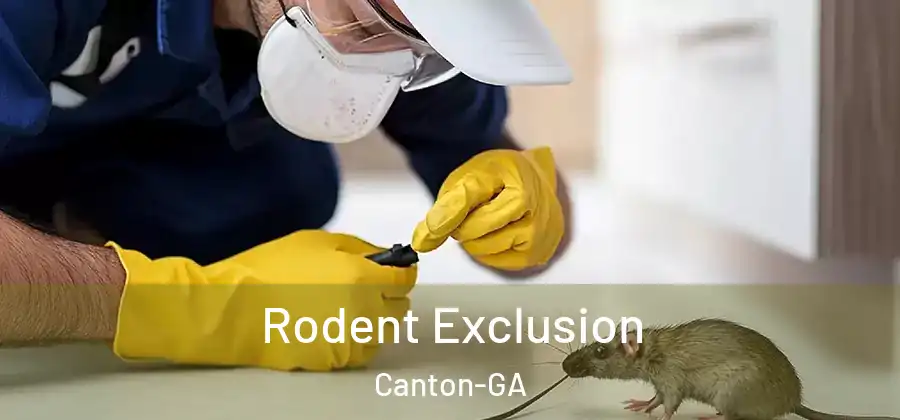 Rodent Exclusion Canton-GA