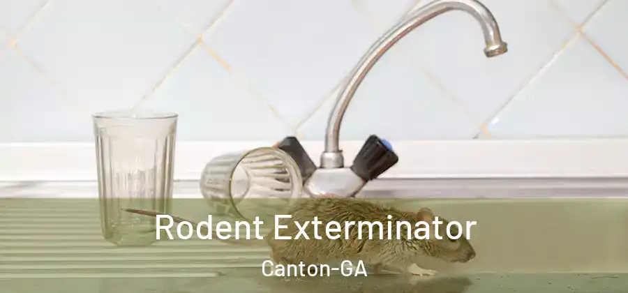  Rodent Exterminator Canton-GA