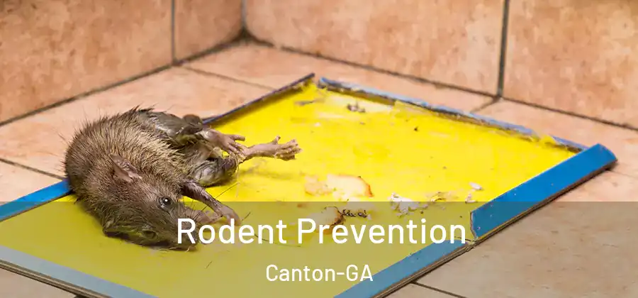Rodent Prevention Canton-GA