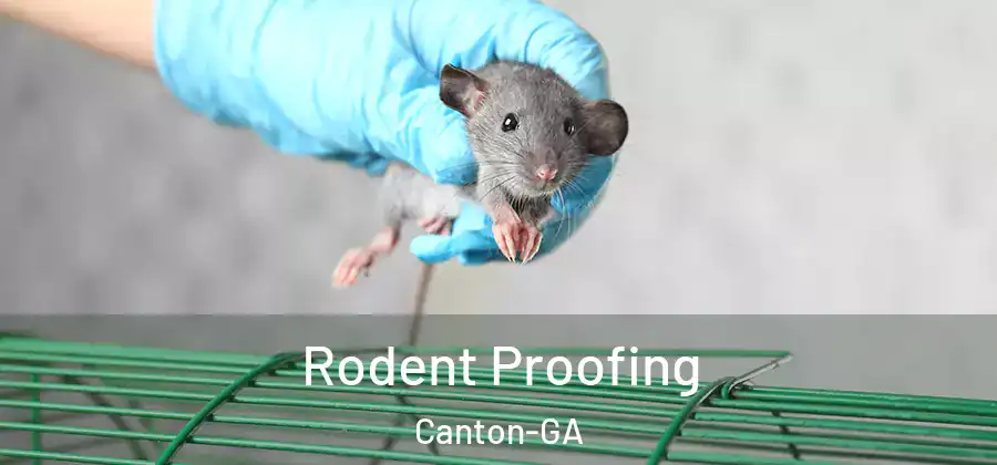Rodent Proofing Canton-GA