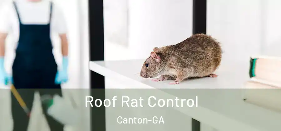 Roof Rat Control Canton-GA