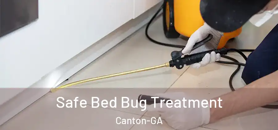 Safe Bed Bug Treatment Canton-GA