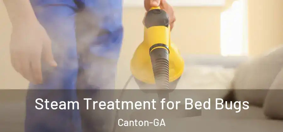 Steam Treatment for Bed Bugs Canton-GA