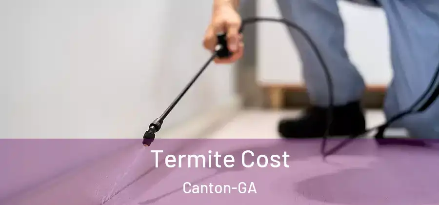  Termite Cost Canton-GA