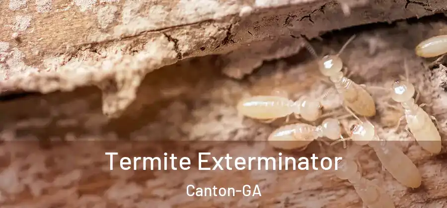 Termite Exterminator Canton-GA