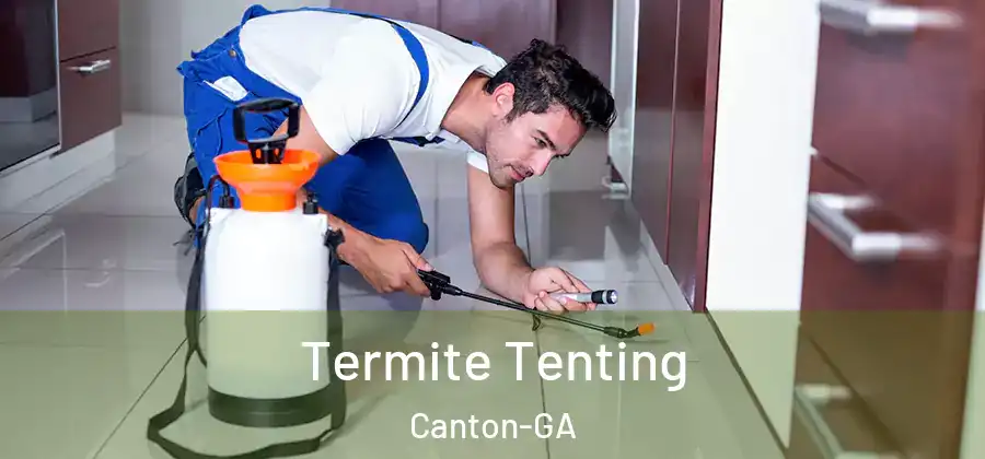 Termite Tenting Canton-GA