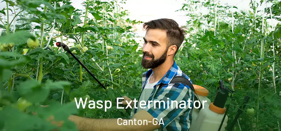 Wasp Exterminator Canton-GA