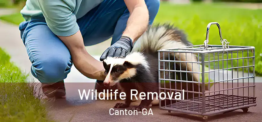  Wildlife Removal Canton-GA