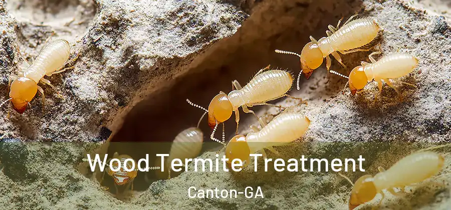  Wood Termite Treatment Canton-GA