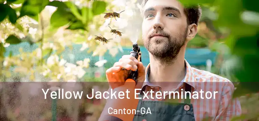 Yellow Jacket Exterminator Canton-GA
