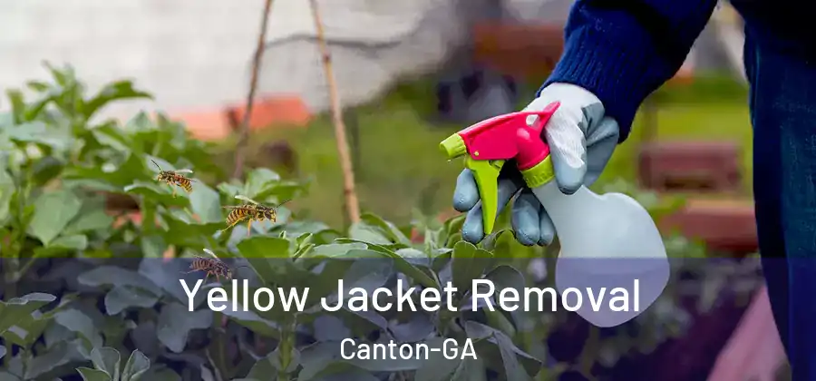 Yellow Jacket Removal Canton-GA